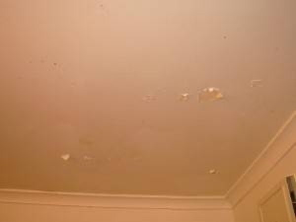 How To Get Peeling Paint Off A Ceiling