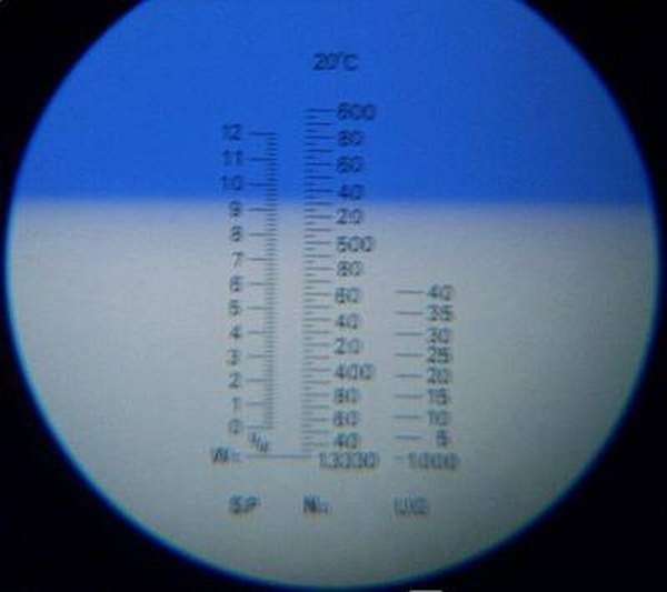 View through refractometer eyepiece with blue and white line delineation. Author: Uwe Gille