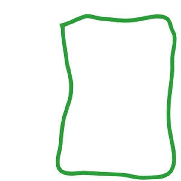 A large green outline represents the cell wall.