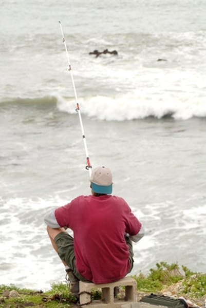 California Fishing License Fees