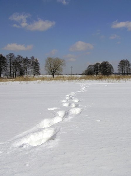 how-to-wash-snow-pants-homesteady