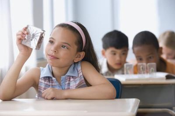 Young children deciding on science fair projects.