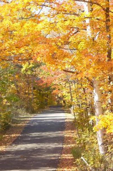 What Materials Are Used to Make Walking Trails?