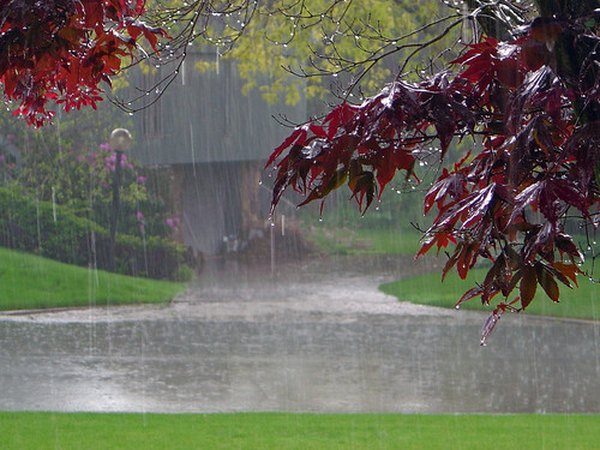 Low pressure systems can bring rain