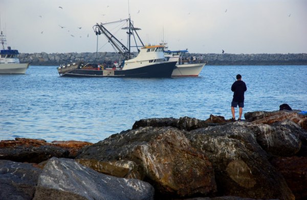 Overfishing threatens dolphin habitats.