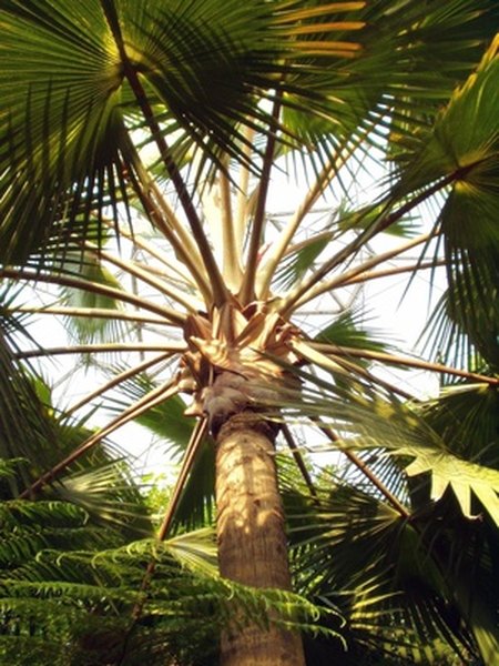 Places along the Equator receive the most heat from the Sun.