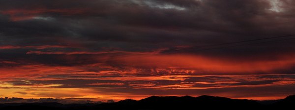 Bats will come out at sunset.