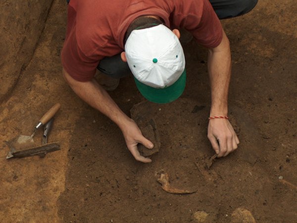 Paleontologists carefully uncover fossils.