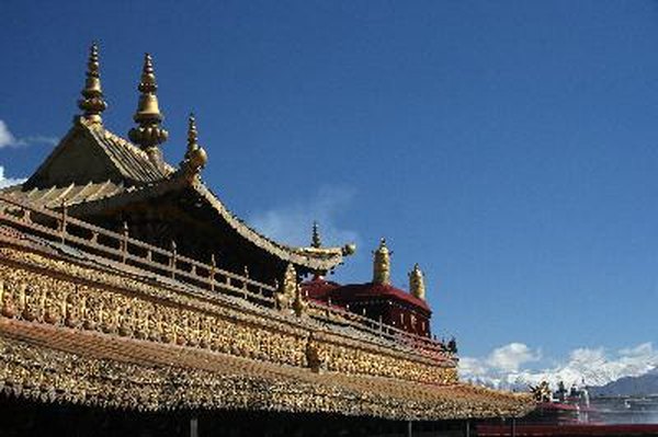 Temple roof and blue sky image by Tatyana Pavlova from Fotolia.com Lhasa apsos were originally bred to guard Tibetan palaces and monasteries.