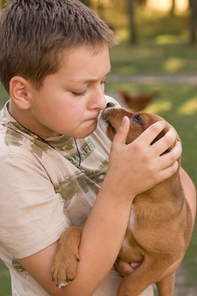 boy and his pet image by Renata Osinska from Fotolia.com Small dogs are generally not recommended for children because kids may not be gentle enough.