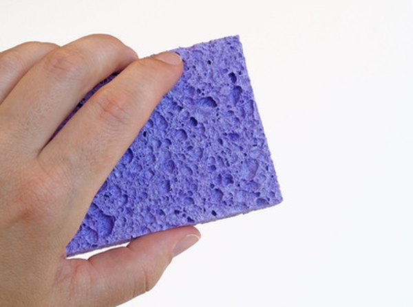 Sponges are filled with air pockets.
