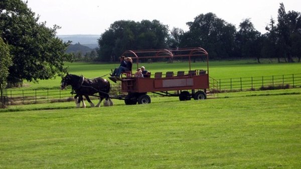 A horse accelerates the cart's movement. The cart's mass slows the horse.