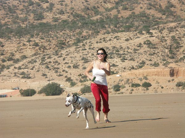 courir sur la plage image by MONIQUE POUZET from Fotolia.com Just like humans, dogs need to ease into a running routine.