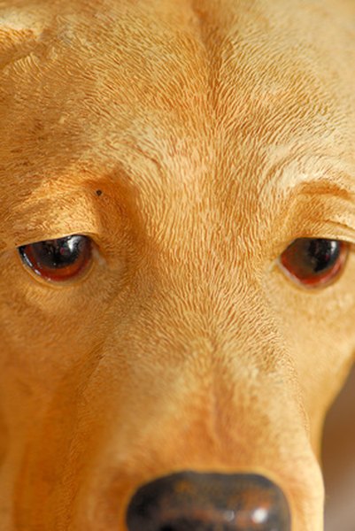 sad eyes image by StephenD from Fotolia.com If your dog's eyes are inflamed and runny, his veterinarian needs to determine why.