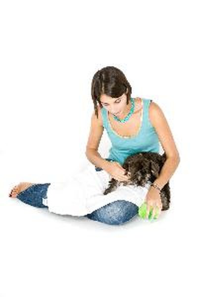 Wrapped Up image by Elliot Westacott from Fotolia.com Make sure your dog is happy and relaxed before you practice wrapping.