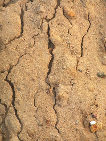 Photo Credit: sand image by Pali A from <a href='http://www.fotolia.com'>Fotolia.com</a> Sandy soil requires the addition of organic matter.