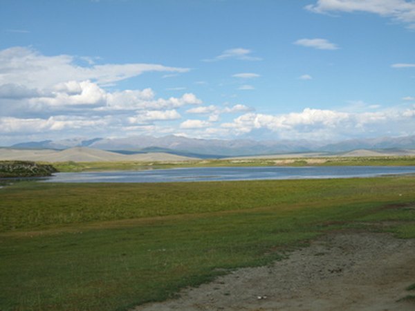 Steppes are temperate grasslands with short grasses.