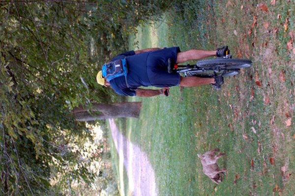 Man riding Bike with Dog image by Renata Lauermann from Fotolia.com Bicycling with your dog is good exercise for both of you, but keeping him safe comes first.