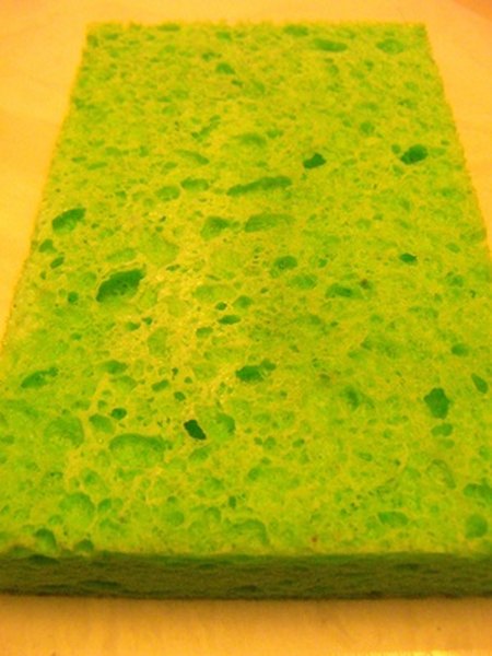Use a sponge to determine how heat and air flow effect evaporation.