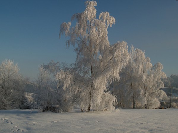 Whichever hemisphere is tilted away from the Sun experiences winter.