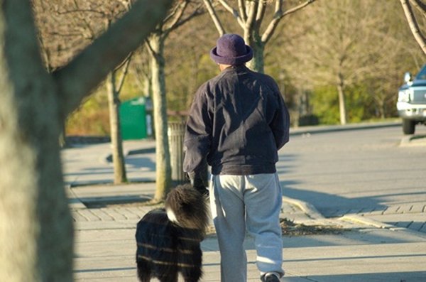 walking the dog image by robert mobley from Fotolia.com A good pet sitter will keep your pets happy and healthy while you are away.
