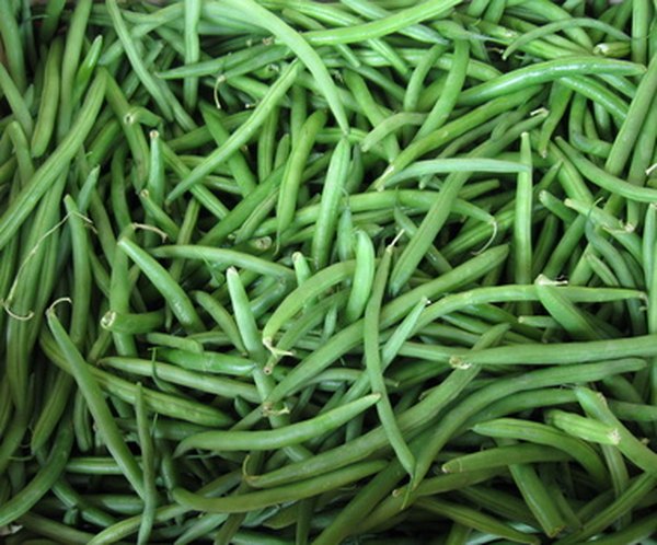 Green beans image by Christopher Martin from Fotolia.com Green beans are a healthy ingredient for homemade dog treats.