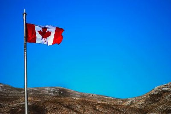 Canadian Flag image by John Kroetch from Fotolia.com Canada welcomes dogs with a valid rabies certificate and a clean bill of health.