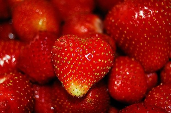 Morangos
