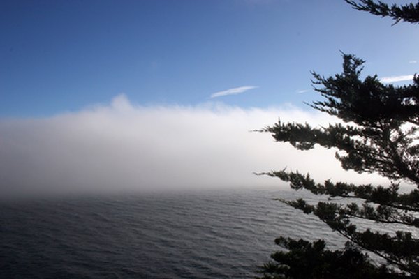 Some ocean currents habitually promote fog.