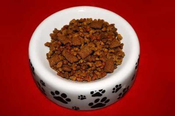 dog food for puppies