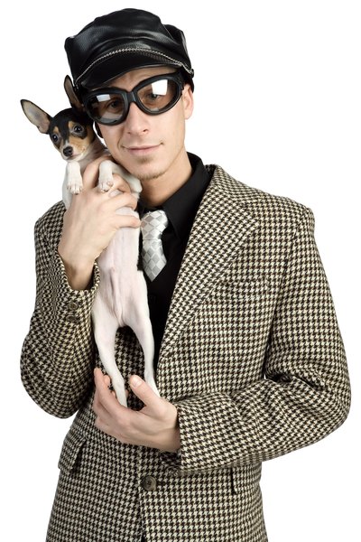 Um negócio com o melhor para seu animal de estimação