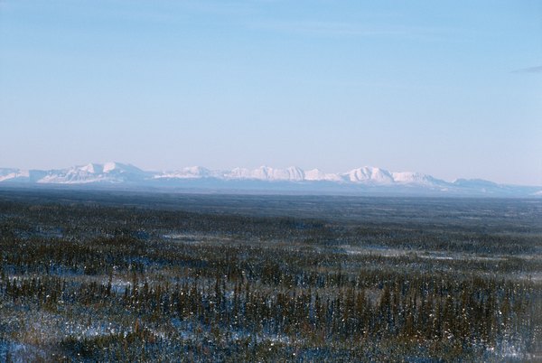 Frozen tundra.