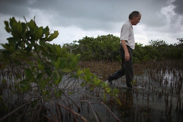 An ecologist researching ecosystems in the field.