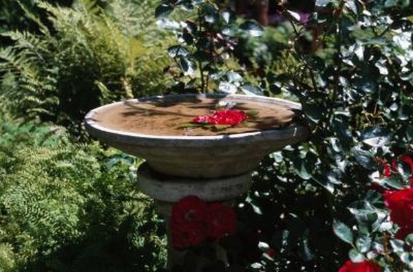 How To Landscape A Bird Bath Home Guides Sf Gate How To Landscape A Bird Bath
