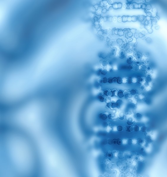 Mutually exclusive exons cannot both be retained in the RNA product.