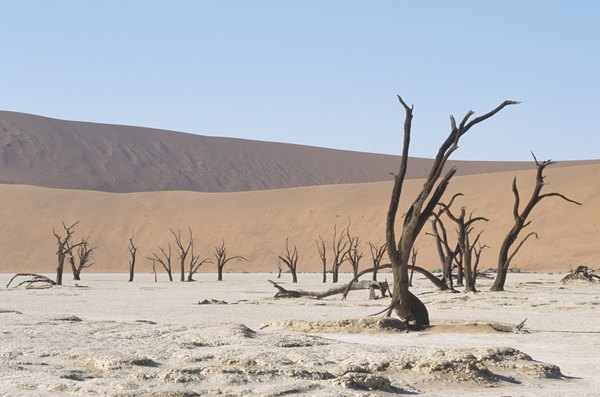 The Namib Desert in Namibia, Africa.