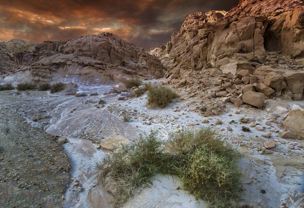 The Negev desert covers more than half of the territory in Israel