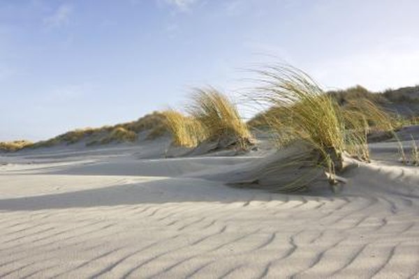 Wind creates ripples on a sandy beach.