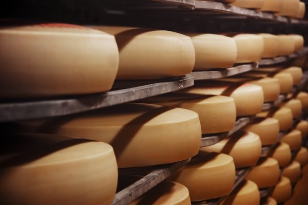 O preparo do queijo começa na separação do leite integral