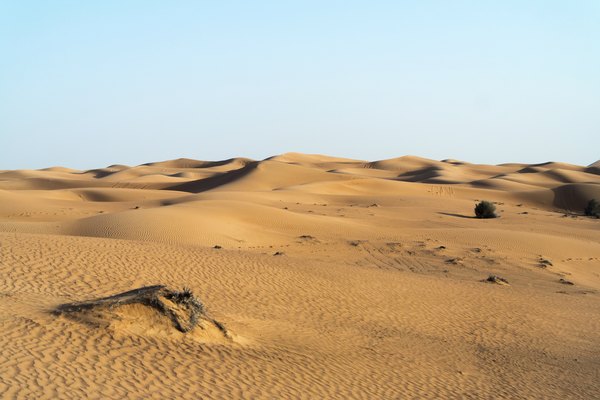 The Sahara Desert was once a fertile region of lakes and water that has been brutally disrupted by modern technology and developments