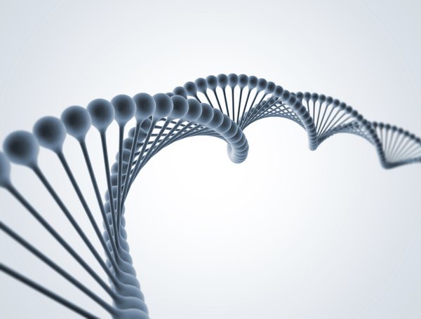 DNA can be analyzed using gel electrophoresis.