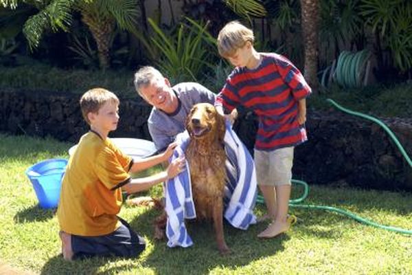 how-to-bathe-dogs-with-baking-soda-pets