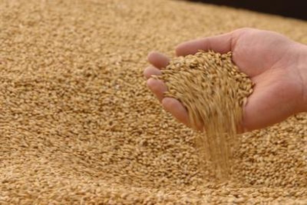 Increasing worldwide demand keeps pushing grain prices higher.
