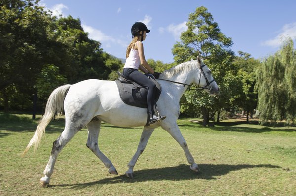 What Is the Difference Between Jogging & Trotting a Horse? | Animals ...