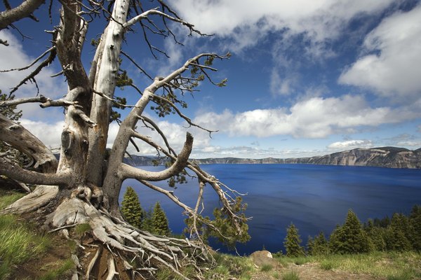 Photo Credit: Jupiterimages/Comstock/Getty Images Oregon