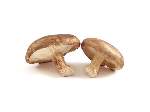 Shiitake mushrooms can be grown at home.