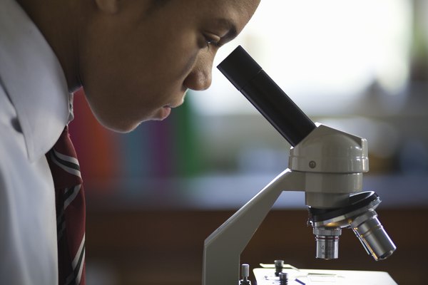 O microscópio é uma invenção que tem vida longa pela frente..