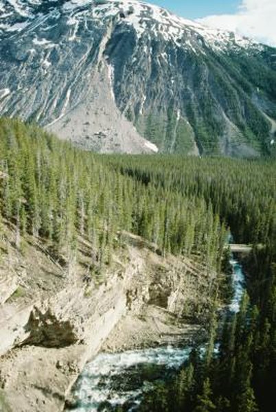 Homes built on or near steep slopes are more at risk for mudslides.