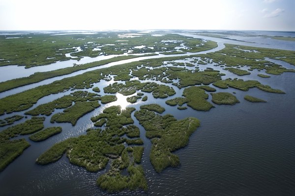 coastal plains landforms