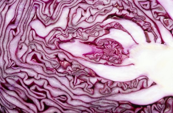 A chemical in red cabbage can be used to make pH test strips.